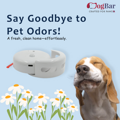 Pet Odour Eliminator