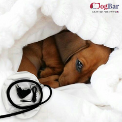 Pet Bed Warmer for Dogs & Cats