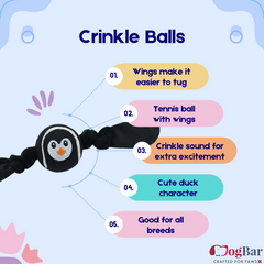 Fetch and play balls for dogs