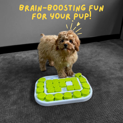 Flip N Slide Toy for Dogs - Treat Hider / Sudoku Puzzle