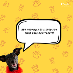 Flip N Slide Toy for Dogs - Treat Hider / Sudoku Puzzle