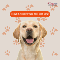 Bubbles - The Hippo - Plush Toy with Squeaker