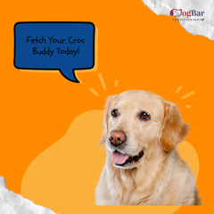 Gator The Croc - Plush Toy with Squeaker for Dogs