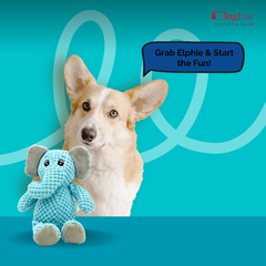 Dumbo - The Elphie - Plush Toy With Squeaker