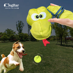 Kai - The Flying Python, Outdoor Squeaky Fetch n Play Activity for Dogs