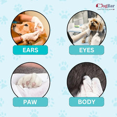 Cleaning Gloves - Pack of 12 - Disposable, for Dry Cleaning