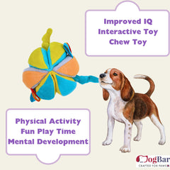 Snack Seeker Ball - Treat Hider Ball