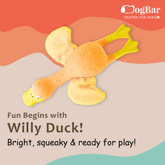 Willy - The Duck - Squeaky Toy for Dogs