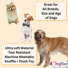 Round Snuffle Mat, Treat Hider Fun Activity for Dogs