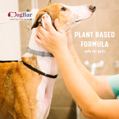 Aloevera Pet Eye/ Ear Wipes for Dogs - 120 count