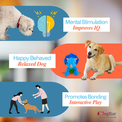 T- Rex Treat Hider Toy for Dogs - Treat Hiders