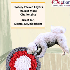 Squirrel Snuffle Mat, Treat Hider Fun Activity for Dogs