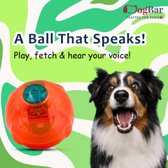 Speaking Ball Toy for Dogs - Latest Interactive Toy for Dogs and Cats