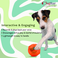Speaking Ball Toy for Dogs - Latest Interactive Toy for Dogs and Cats
