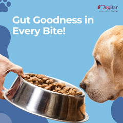 Probiotic Chews for Dogs, 120 Soft Chew, Chicken Flavour