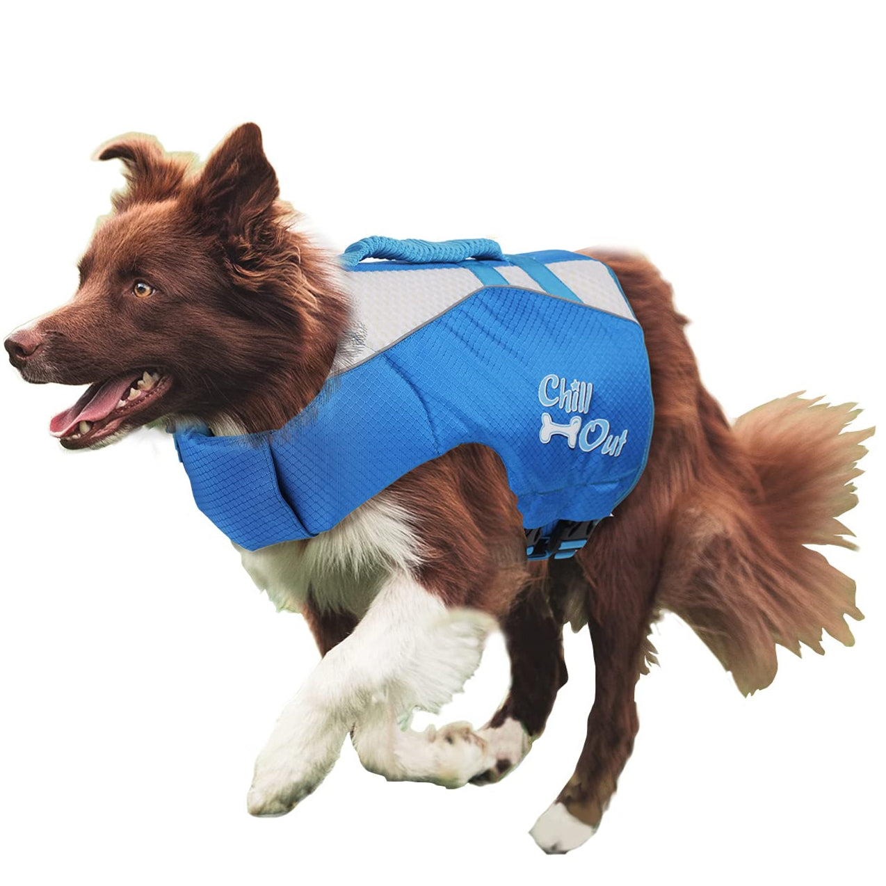 Swimming and safety jacket for dogs
