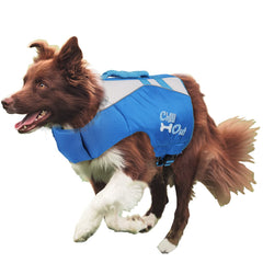 Swimming and safety jacket for dogs