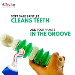 Seafoam Scrubber - Dental Care Chew Toy