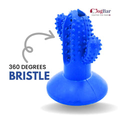 DogBar Dental Cactus β Tangy Orange & Bluei Blue | Dental Chew Toy for Dogs