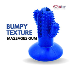 DogBar Dental Cactus β Tangy Orange & Bluei Blue | Dental Chew Toy for Dogs