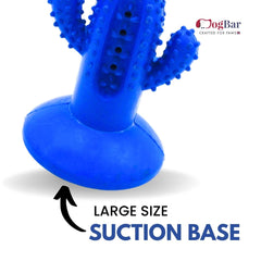 DogBar Dental Cactus β Tangy Orange & Bluei Blue | Dental Chew Toy for Dogs