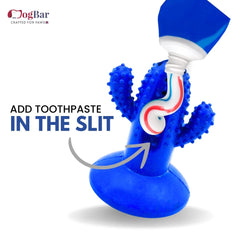 DogBar Dental Cactus β Tangy Orange & Bluei Blue | Dental Chew Toy for Dogs