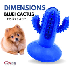 DogBar Dental Cactus β Tangy Orange & Bluei Blue | Dental Chew Toy for Dogs