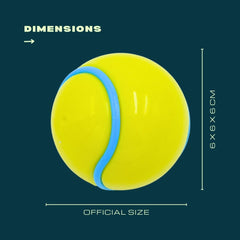 Sunbeam Duo Twin Ball Pack - Two balls for half the price!