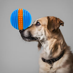 Float & Bounce Twin Balls Pack for Dogs