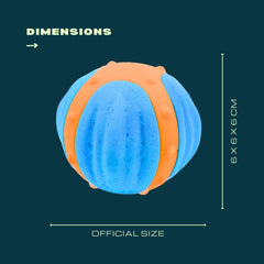 Float & Bounce Twin Balls Pack for Dogs