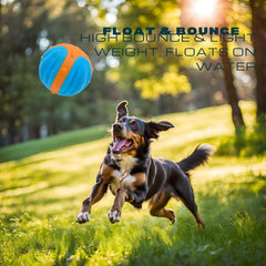 Float & Bounce Twin Balls Pack for Dogs