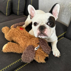 Snuggle Buddy - Real Heartbeat Plush N Cuddle Toy