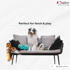 Mr. Pebbles - The Hippo with Squeaker Toy for Dogs