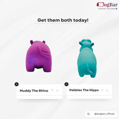 Mr. Pebbles - The Hippo with Squeaker Toy for Dogs