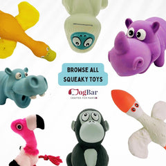 Mr. Pebbles - The Hippo with Squeaker Toy for Dogs