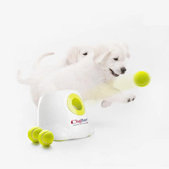 Fetch-O-Matic Automatic Ball Launcher for Dogs