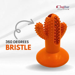 DogBar Dental Cactus β Tangy Orange & Bluei Blue | Dental Chew Toy for Dogs