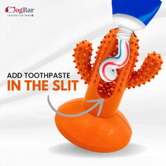 DogBar Dental Cactus β Tangy Orange & Bluei Blue | Dental Chew Toy for Dogs
