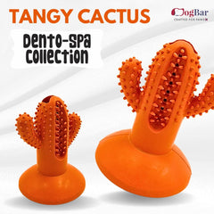 DogBar Dental Cactus β Tangy Orange & Bluei Blue | Dental Chew Toy for Dogs