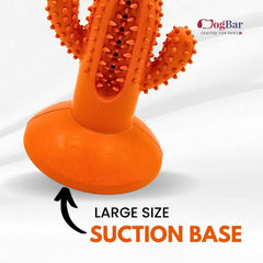 DogBar Dental Cactus β Tangy Orange & Bluei Blue | Dental Chew Toy for Dogs