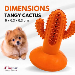 DogBar Dental Cactus β Tangy Orange & Bluei Blue | Dental Chew Toy for Dogs