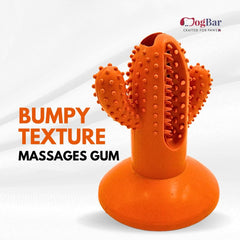 DogBar Dental Cactus β Tangy Orange & Bluei Blue | Dental Chew Toy for Dogs