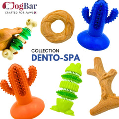 DogBar Dental Cactus β Tangy Orange & Bluei Blue | Dental Chew Toy for Dogs