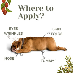 Wrinkle Balm 60 gm pack