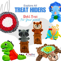 Spooky Squirrel - Treat Hider