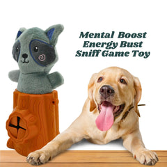 Rooky Raccoon - Plush Toy, Treat Hider, Squeaky Toy for Dogs