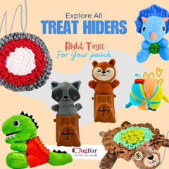 Rooky Raccoon - Plush Toy, Treat Hider, Squeaky Toy for Dogs