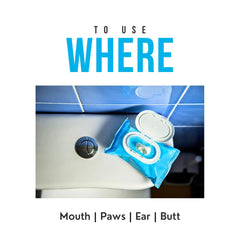 Pet Wipes for Dogs - 100 pc - coconut vanilla scent