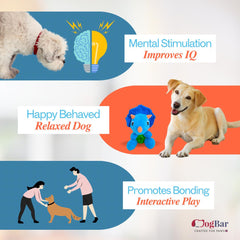 T- Rex Treat Hider Toy for Dogs - Treat Hiders