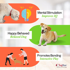 T- Rex Treat Hider Toy for Dogs - Treat Hiders